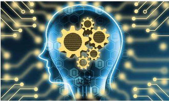 前三季度貴州新經濟增加值達1992.90億元，互聯網商品零售展現強勁活力