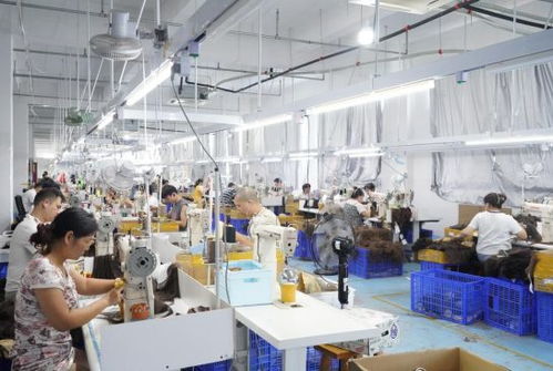 谷子經(jīng)濟走紅拼多多 小發(fā)絲牽動大民生與產(chǎn)業(yè)新圖景